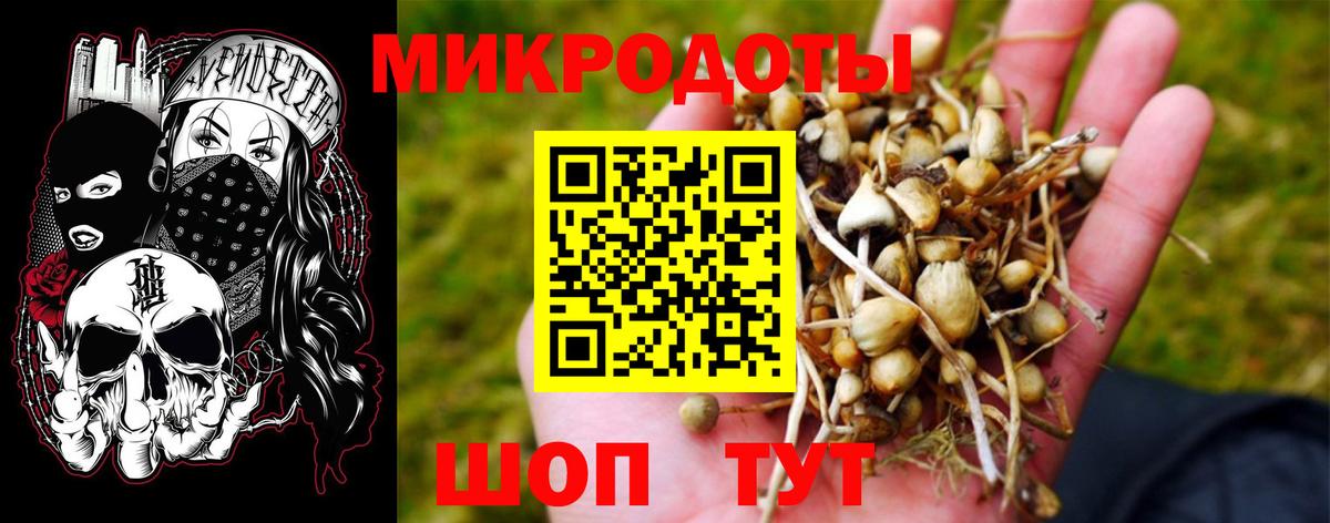 Галлюциногенные грибы Cubensis Мурманск